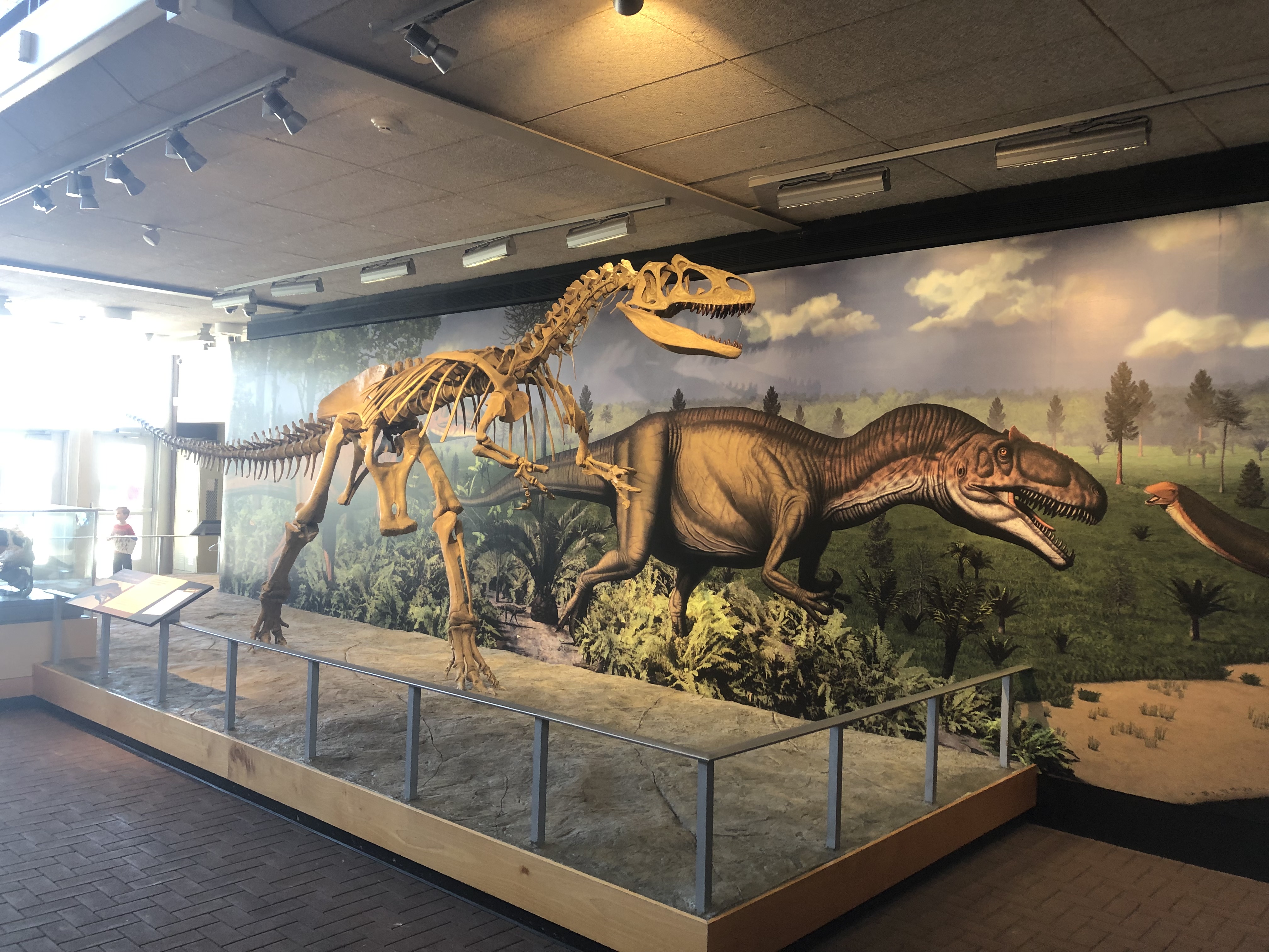 things to do in dinosaur national monument